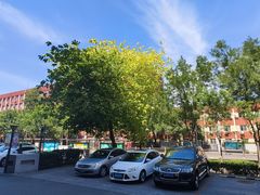 -吉野家(光华路店)