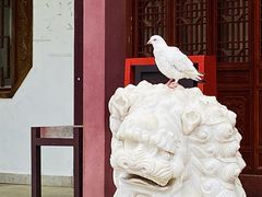-深圳仙湖植物园