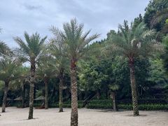 -腾冲洞山温泉村