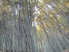 -杭州黄龙洞
