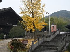 -大唐贡茶院
