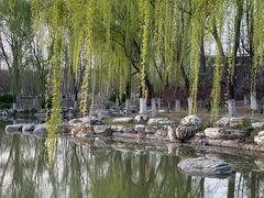 -西安浐灞国家湿地公园