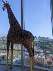 -IMON·HANSA潮玩玩偶毛绒玩具(通州万象汇店)