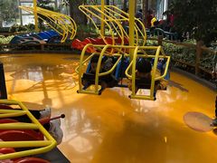 -南宫五洲植物乐园