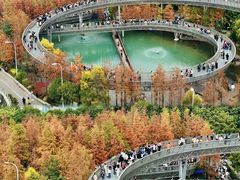 -福道