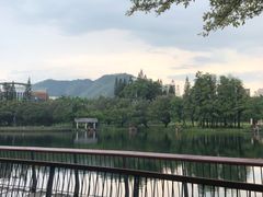 -四海公园(南山区)