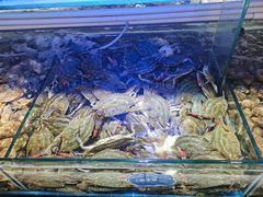 -四海蒸鲜蒸汽海鲜自助(北戴河店)