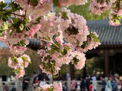 -元大都城垣遗址公园