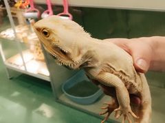 -藦茜花园宠物主题亲子互动体验馆(国顺东路店)