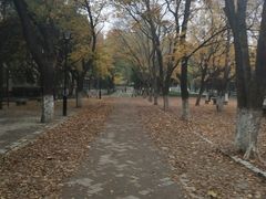 -山东大学(趵突泉校区)