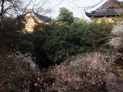 -北寺塔