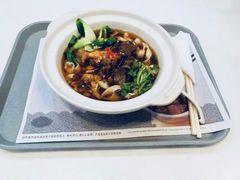 -东方既白(上海浦东国际机场)