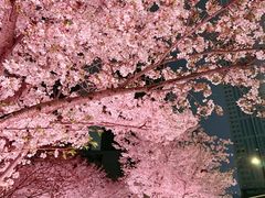 -西北湖绿化广场