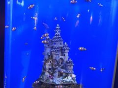 -海合安武汉极地海洋公园