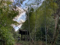 -宁波五龙潭景区