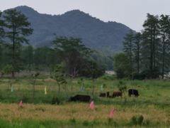 -四明湖