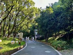 -南京珍珠泉风景区