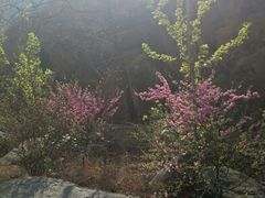 android_upload_pic-灵溪风景区