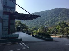 -大埔公路-马料水段香港中文大学(公交站)