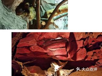 强烈亲子游玩的一个标的
