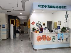-中农国际动物医院24小时·猫科·骨科·急重症中心