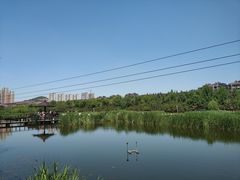 -前关湿地公园
