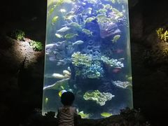 -南昌海洋公园