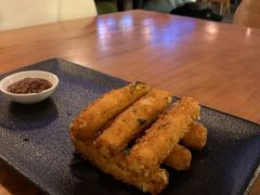 -Twin Tails Brewpub双尾精酿餐吧(八坼店)