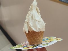 -野人先生现做冰淇淋(北京环宇荟店)