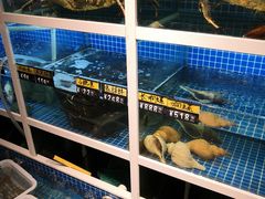 水产区-金龙·打边炉(南京西路店)