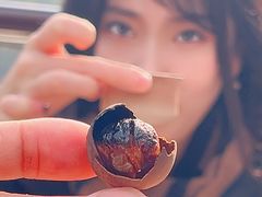 -伴山茶苑·一盏冰茶·半日山居
