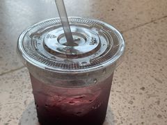 -飞行喵MR PILOT|猫舍·猫咖(静安大融城店)