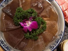 -蜀大侠火锅(四川北路店)