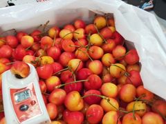 -上海龙吴水胜海发市场