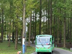 -黄海国家森林公园