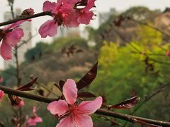 -重庆彩云湖湿地公园
