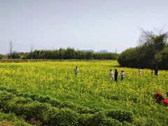 -良渚古城遗址公园