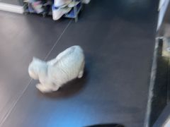 -M.S拳击泰拳馆(大学路店)