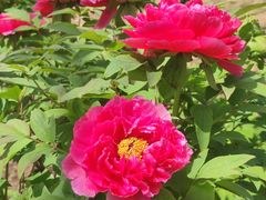 -江南大学(蠡湖校区)