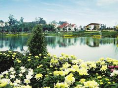 -三圣花乡旅游区