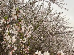 -汉长安城未央宫国家考古遗址公园