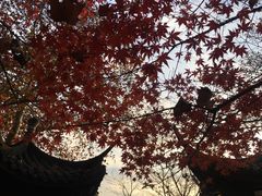 -杭州西湖风景名胜区-北街寻梦
