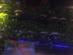 -鱼库·不仅是一家烤鱼店(车公庙店)