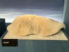 -中国湿地博物馆