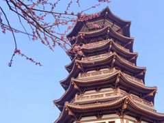 -洋湖国家湿地公园