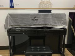 -珠江钢琴艺术中心(文一路店)