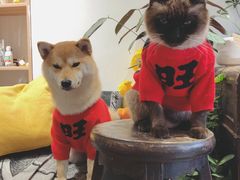 -About Bistro關於·泰式家庭料理