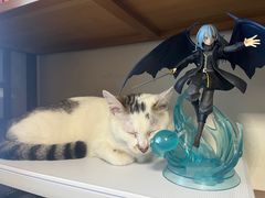 -博特宠物医院24h犬猫全科.骨科·异宠