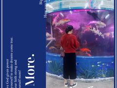 -泉州海丝野生动物世界