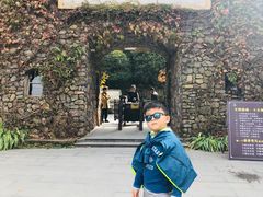 -藏龙百瀑风景区